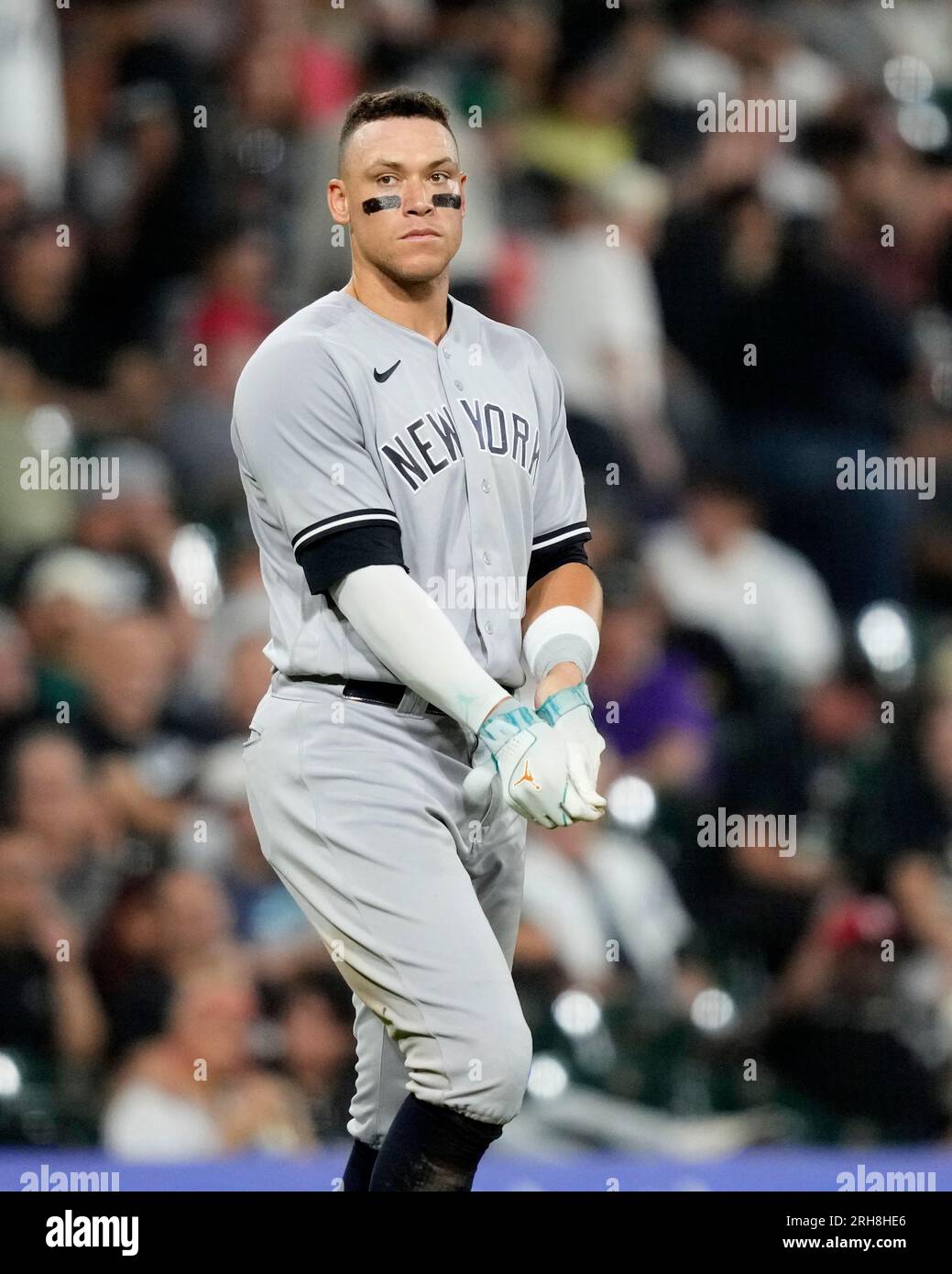 Illustrative example of aaron judge batting gloves from Google Search