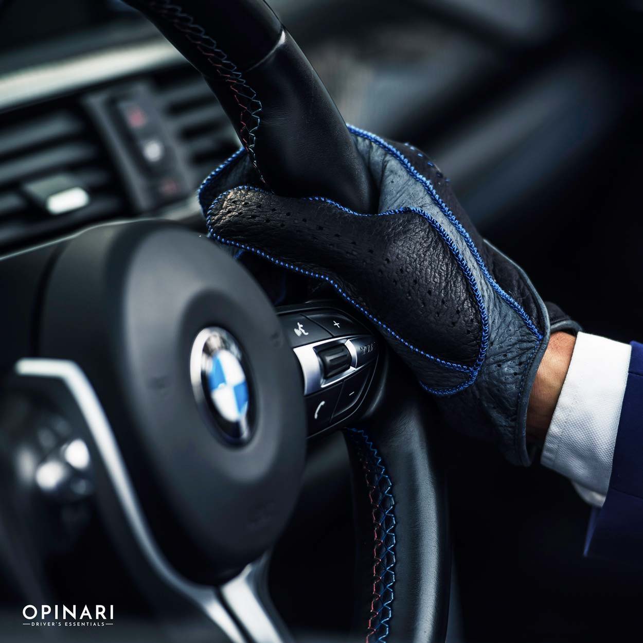Illustrative example of bmw driving gloves from Google Search