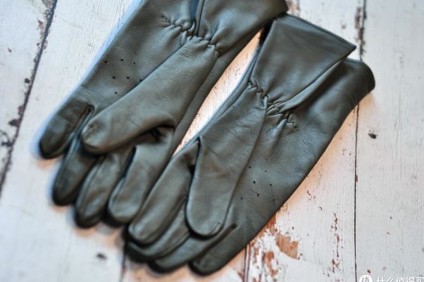 Illustrative example of cabretta leather golf gloves from Google Search
