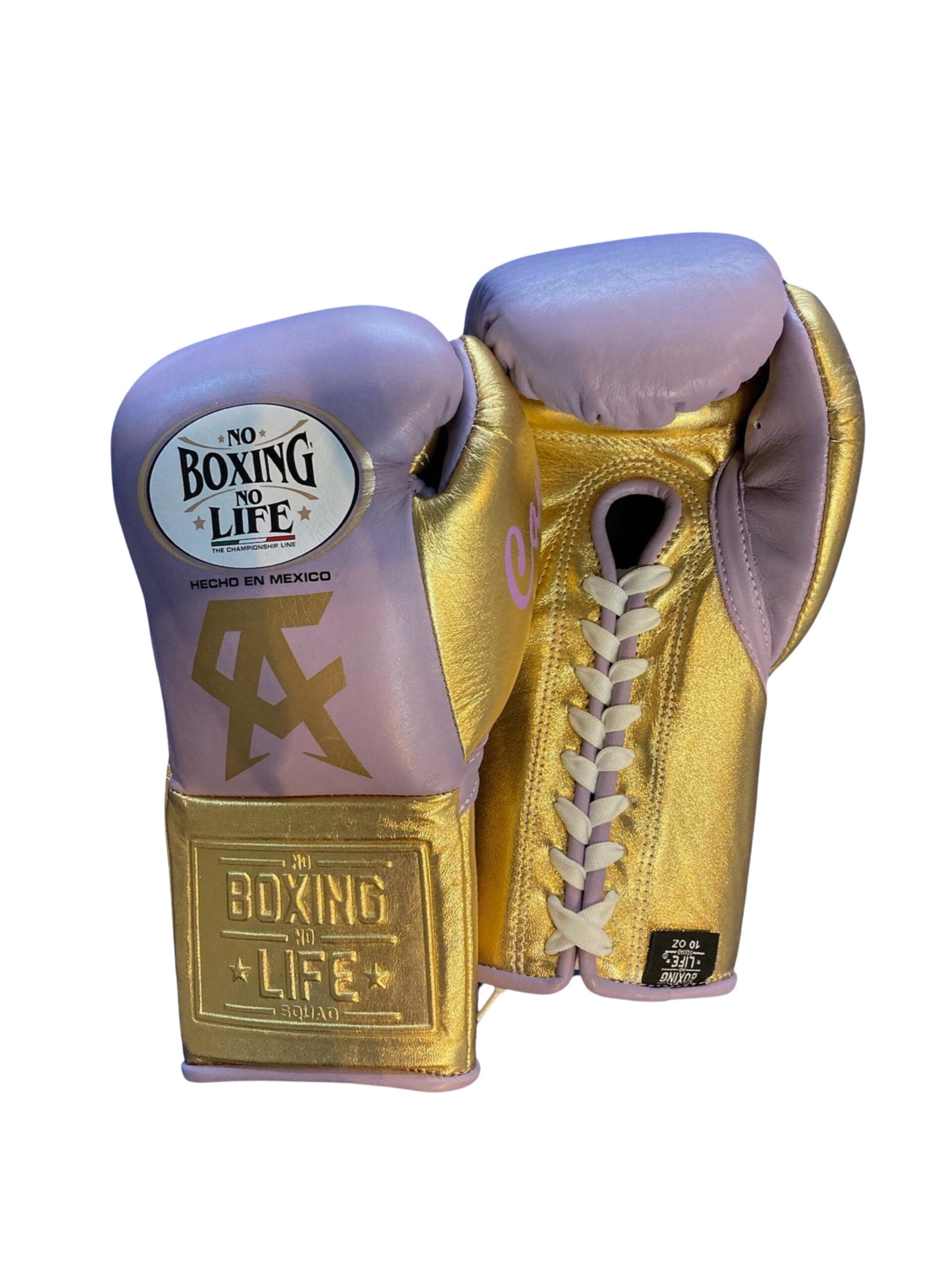 Illustrative example of canelo boxing gloves from Google Search