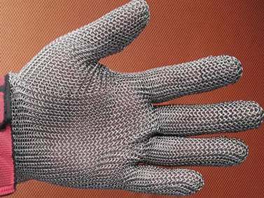 Illustrative example of chainmail glove from Google Search