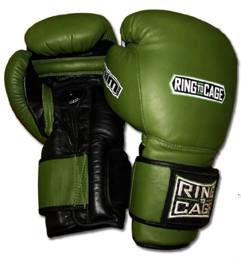 Illustrative example of cheap sparring gloves from Google Search