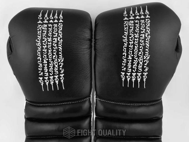 Illustrative example of custom boxing gloves from Google Search