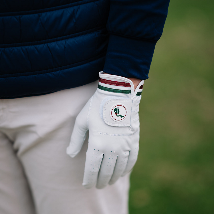 Illustrative example of custom golf glove from Google Search