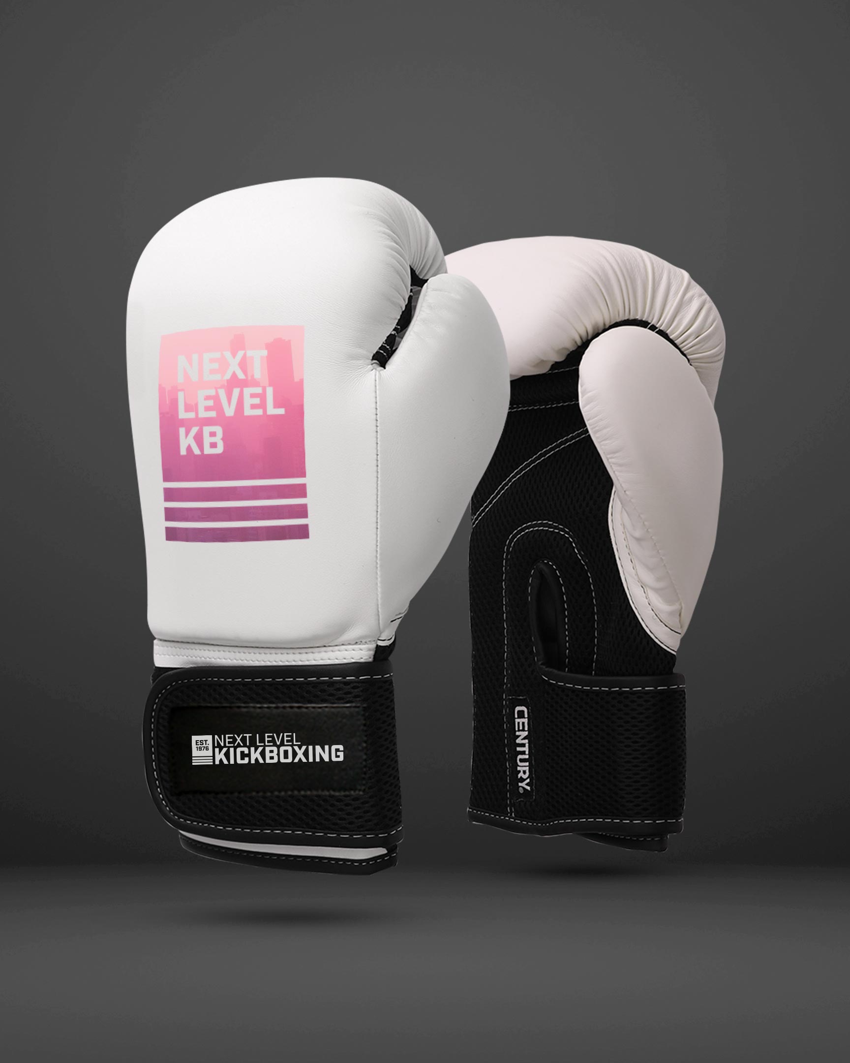 Illustrative example of customized boxing gloves from Google Search