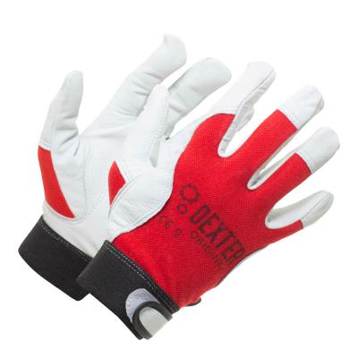 Illustrative example of dexter gloves from Google Search