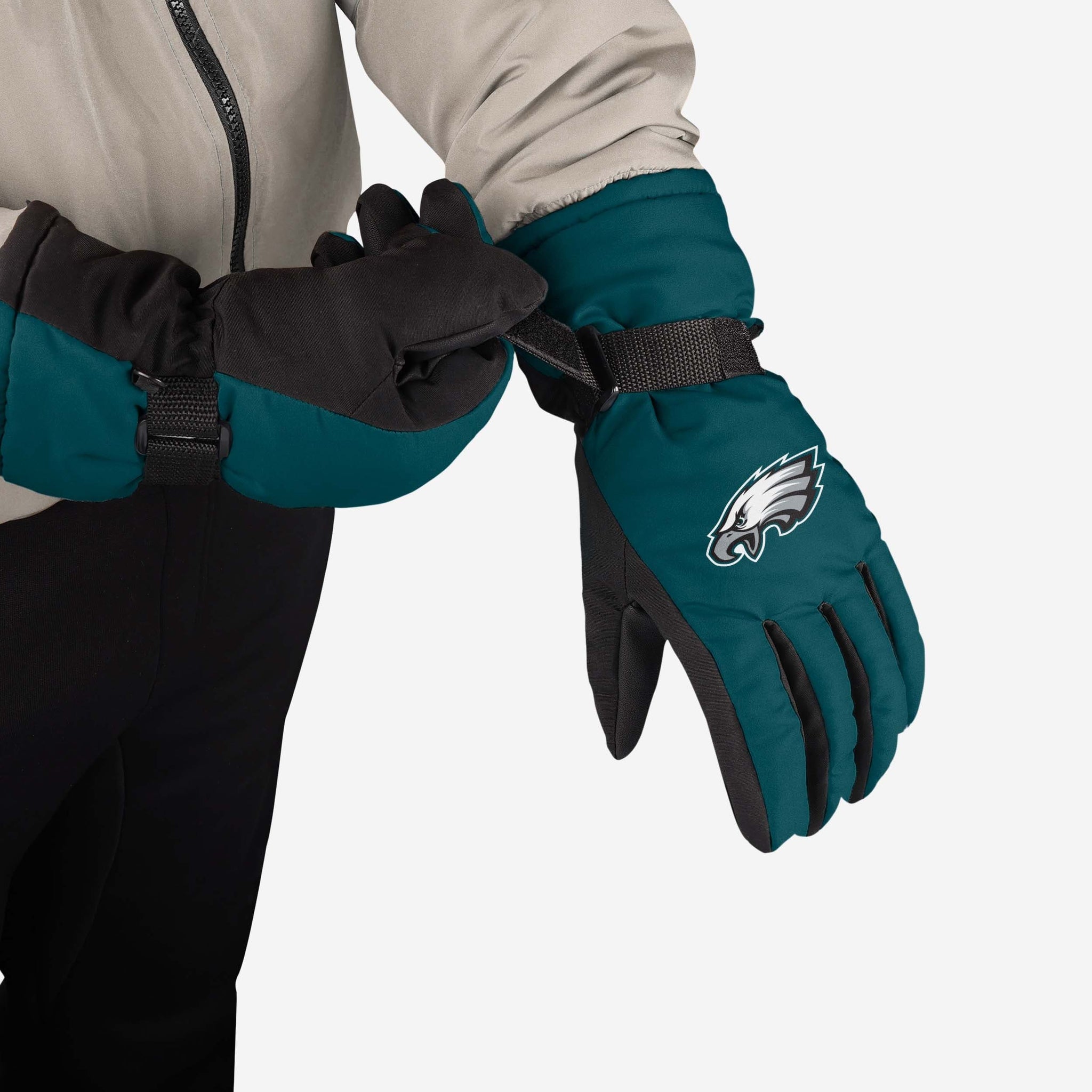 Illustrative example of eagles gloves from Google Search