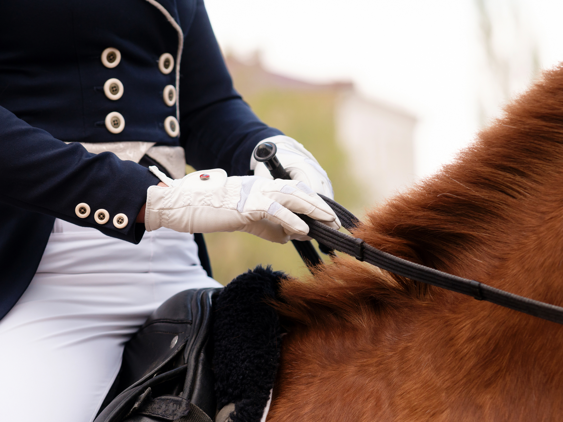 Illustrative example of equestrian gloves from Google Search