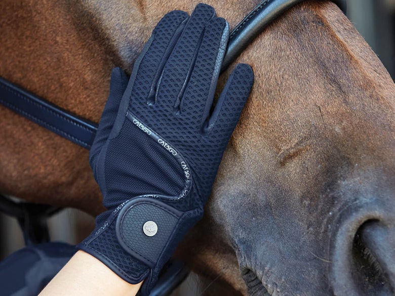 Illustrative example of equine riding gloves from Google Search
