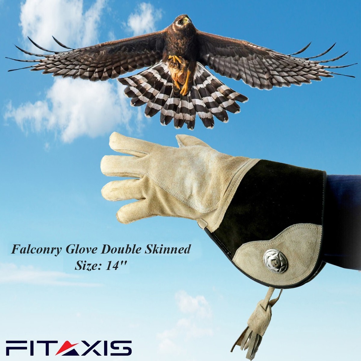 Illustrative example of falcon gloves from Google Search