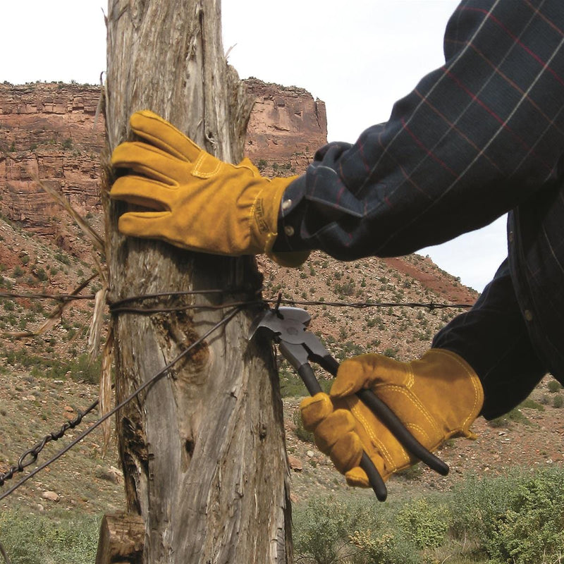Illustrative example of fencing gloves from Google Search