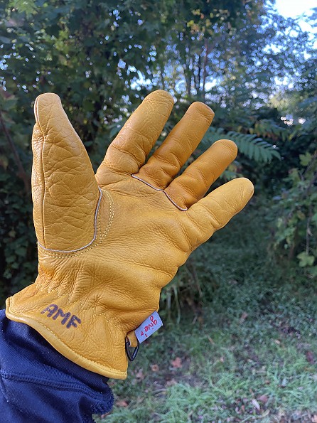 Illustrative example of giver gloves from Google Search
