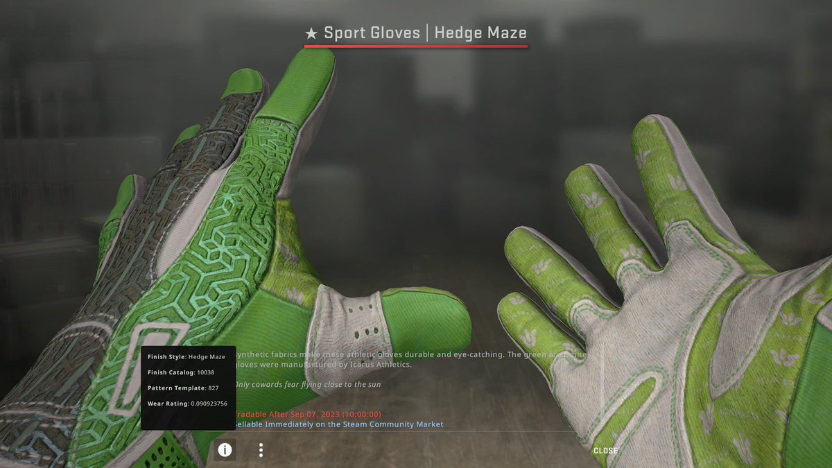 Illustrative example of hedge maze gloves from Google Search