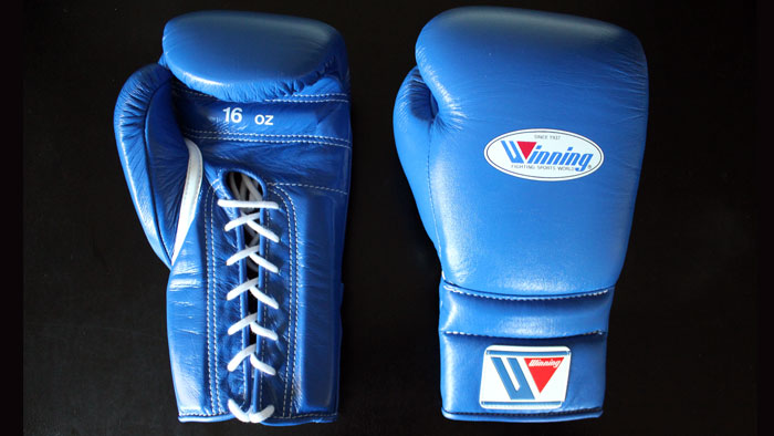 Illustrative example of japanese boxing gloves from Google Search