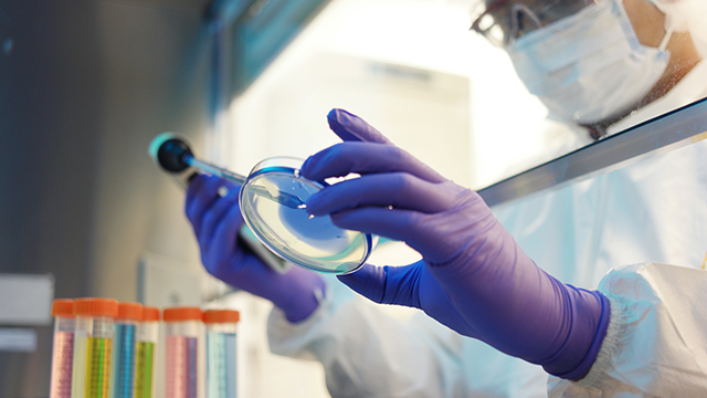 Illustrative example of lab gloves from Google Search