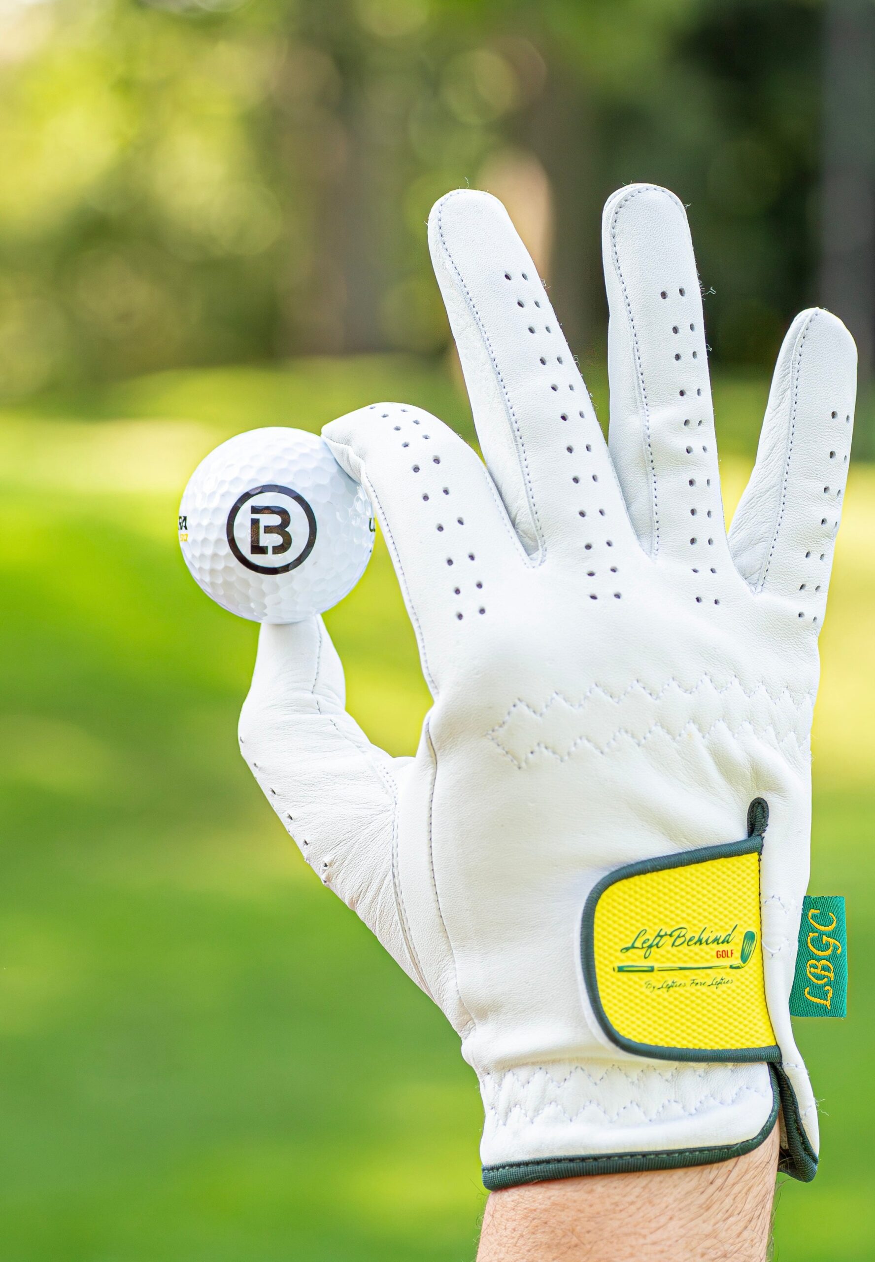 Illustrative example of left handed golfer glove from Google Search