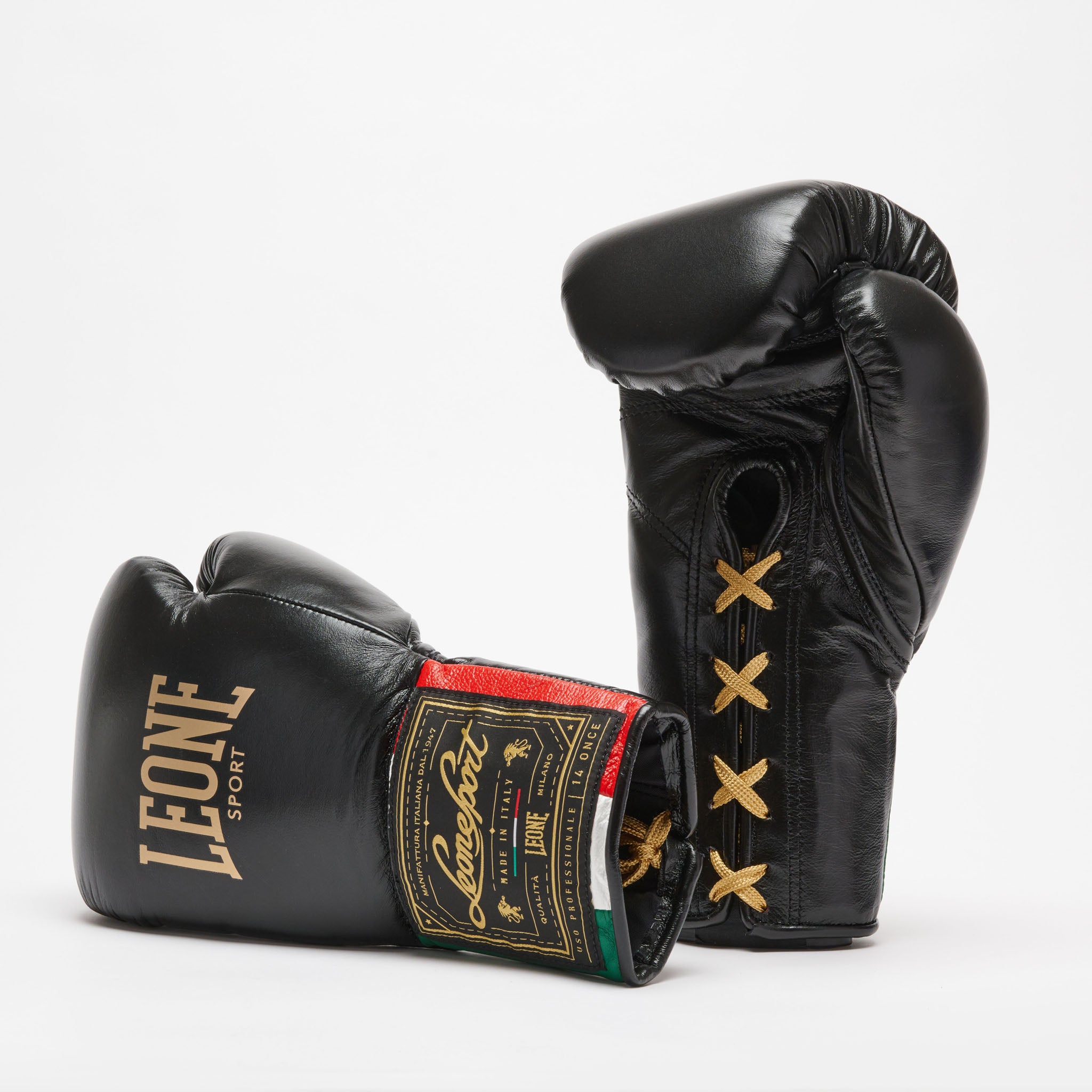 Illustrative example of leone boxing gloves from Google Search