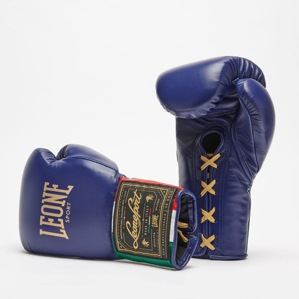 Illustrative example of leone boxing gloves from Google Search