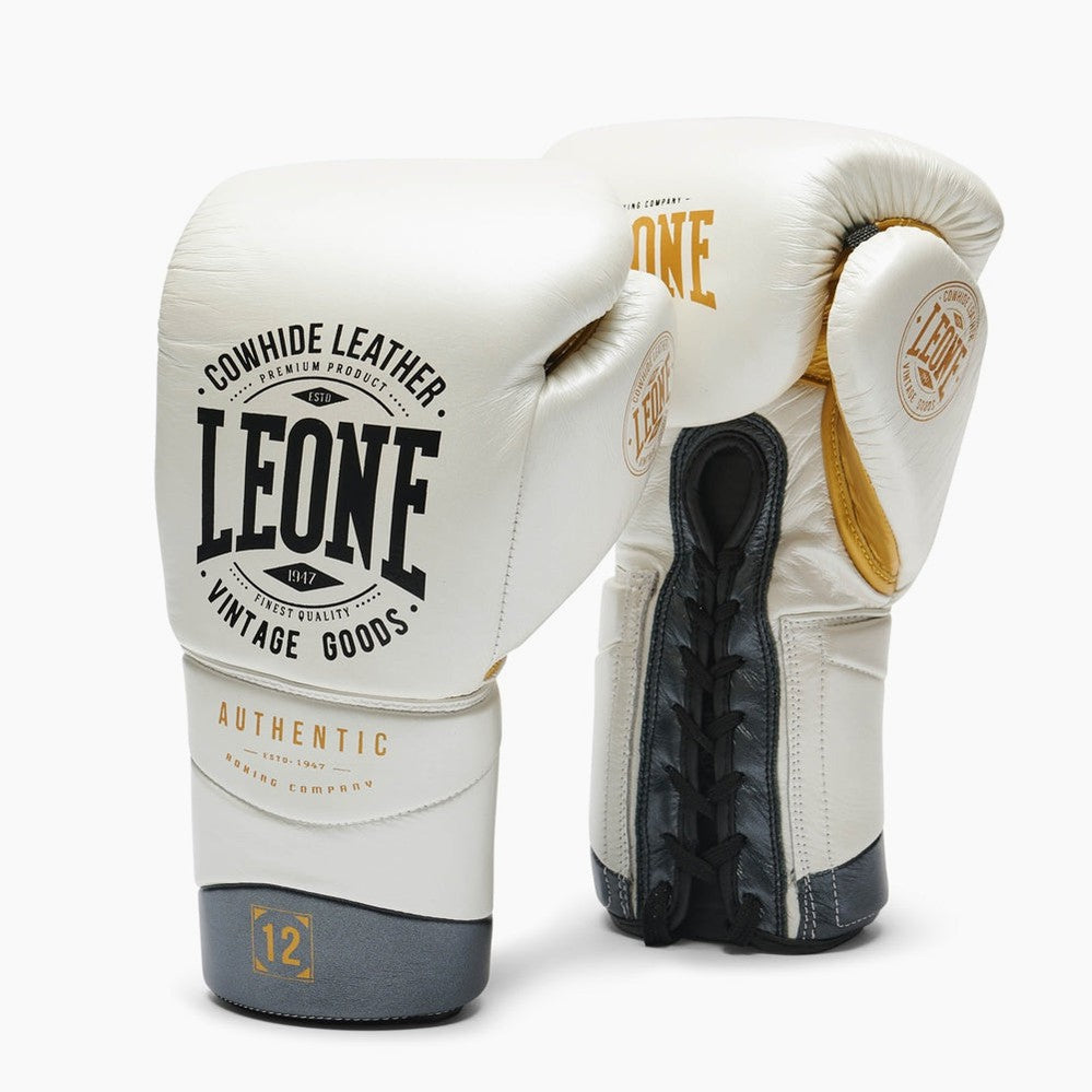 Illustrative example of leone boxing gloves from Google Search