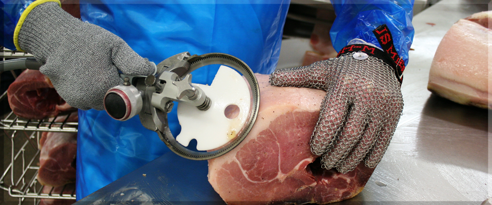 Illustrative example of mesh glove from Google Search