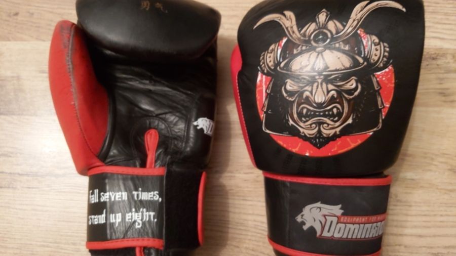 Illustrative example of muay thai boxing gloves from Google Search