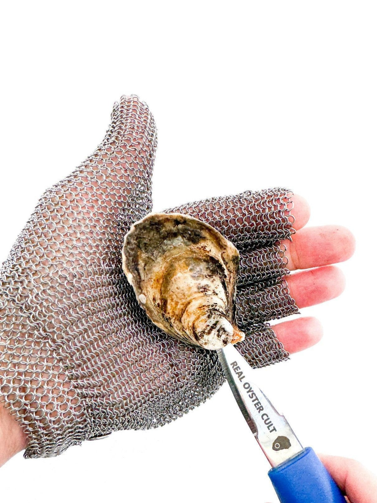 Illustrative example of oyster glove from Google Search
