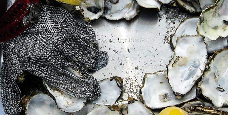 Illustrative example of oyster glove from Google Search