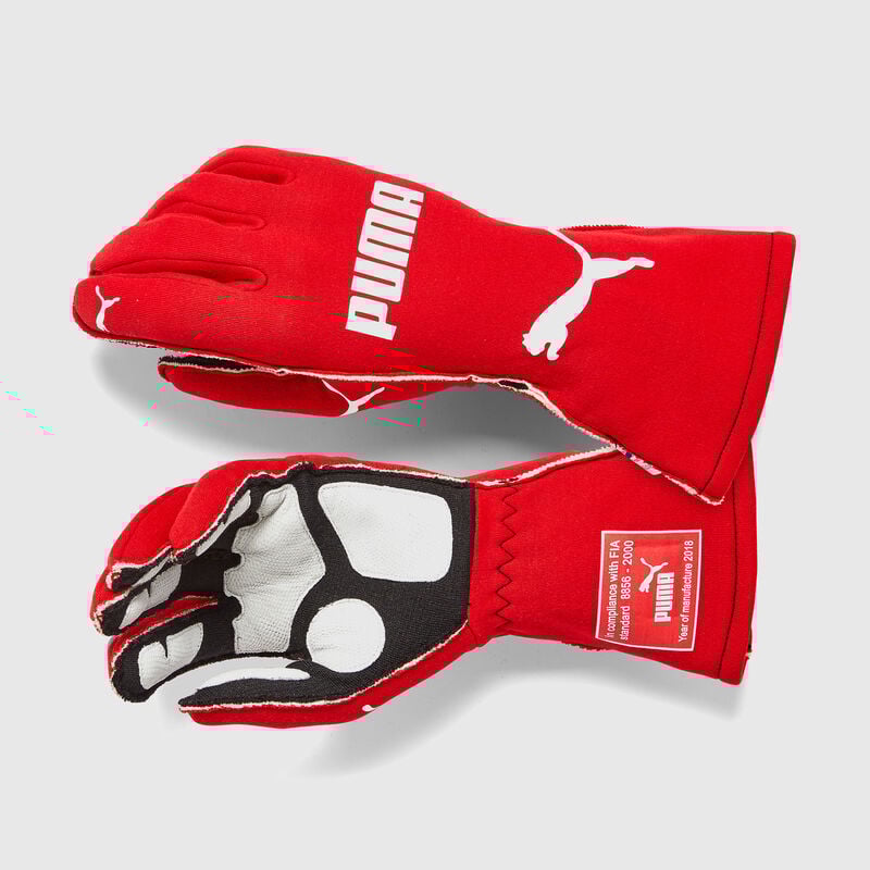Illustrative example of puma racing gloves from Google Search