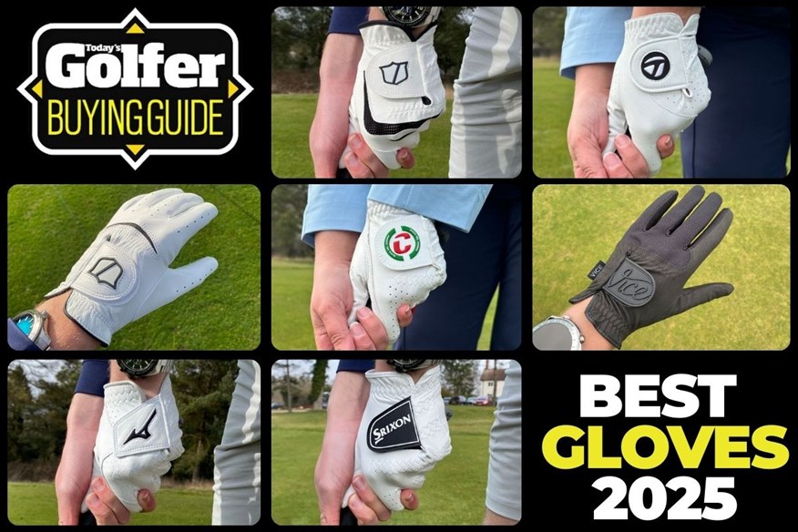 Illustrative example of right handed golf gloves from Google Search