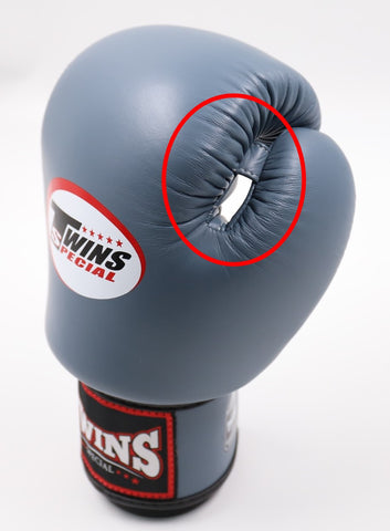 Illustrative example of twins sparring gloves from Google Search